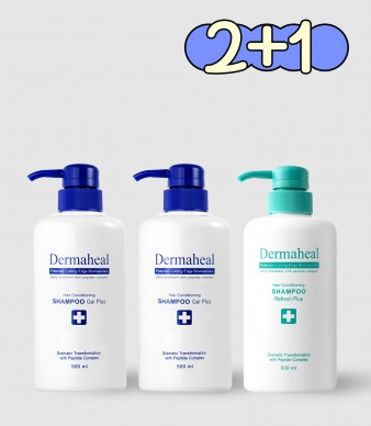 [2+1] 헤어 컨디셔닝 샴푸 겔 500ml(2개) + 리프레시(1개)