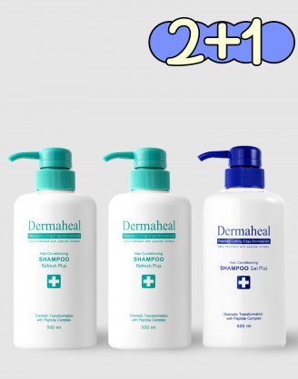 [2+1] 헤어 컨디셔닝 샴푸 리프레시 500ml (2) + 겔(1)